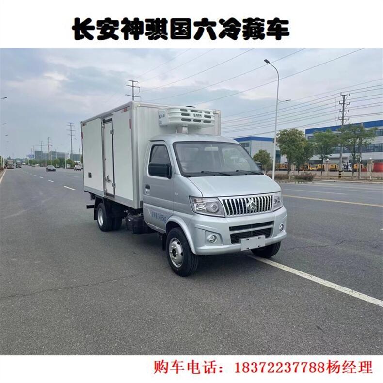 焦作市小型东风品牌3米5冷冻车 